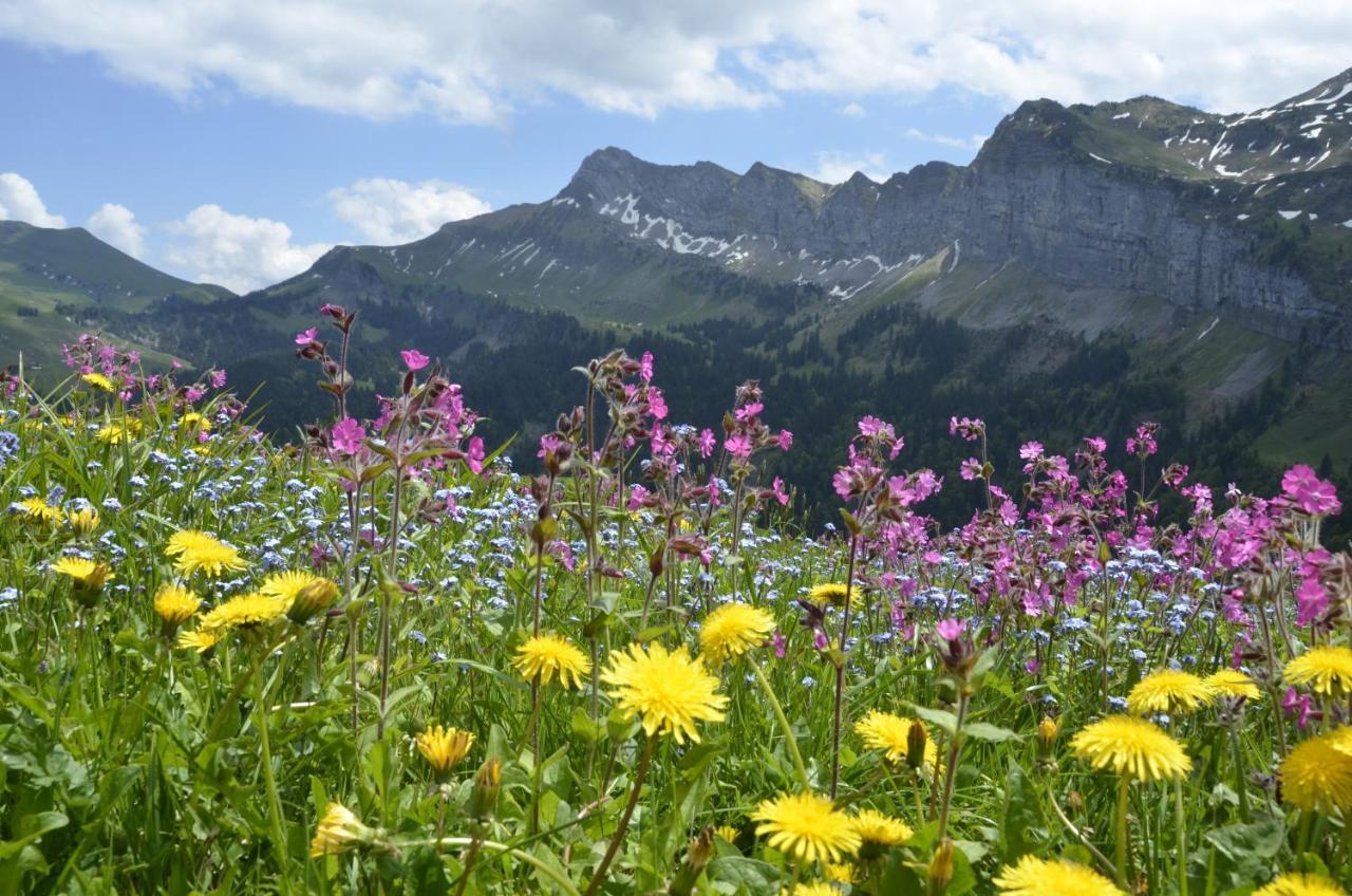 Ferienwohnung Ob Vierwaldsaettersee Isenthal Екстер'єр фото